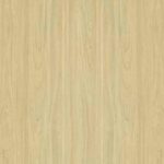 Greenlam Laminate 5352 SY1