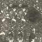 Crown Hpl-X 573 Breccia Agrippina