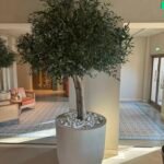 Custom Artificial Olive Tree – Modern Indoor Green Decor