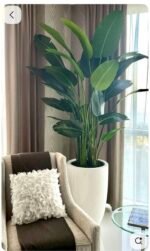 Artificial Birds of Paradise Tree – Tropical Indoor Green Decor - Image 3